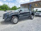 TOYOTA TACOMA 2025