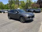 PORSCHE CAYENNE 2019