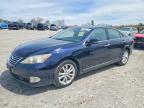 LEXUS ES 2010