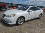 LEXUS ES 2010