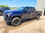 TOYOTA TUNDRA 2024