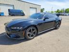 FORD MUSTANG 2024