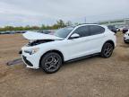 ALFA ROMEO STELVIO 2022