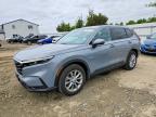 HONDA CR-V 2025