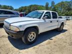DODGE DAKOTA 2004
