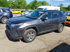 TOYOTA RAV4 2024