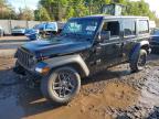 JEEP WRANGLER 2024