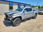 TOYOTA TACOMA 2024