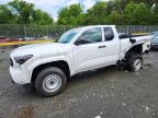 TOYOTA TACOMA 2025