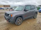 JEEP RENEGADE 2019