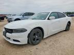 DODGE CHARGER 2022