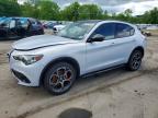 ALFA ROMEO STELVIO 2025