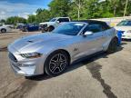 FORD MUSTANG 2021