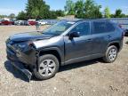 TOYOTA RAV4 2021