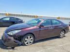 LEXUS ES 2005