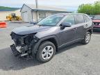 TOYOTA RAV4 2023