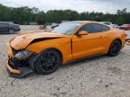 FORD MUSTANG 2019