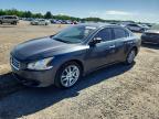 NISSAN MAXIMA 2013