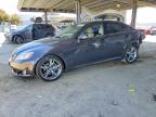 LEXUS IS 2009