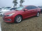 HYUNDAI SONATA 2016