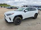 TOYOTA RAV4 2023