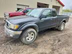 TOYOTA TACOMA 2004
