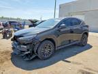 LEXUS NX 2024