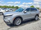HONDA CR-V 2024