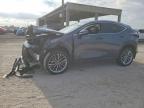 LEXUS NX 2024