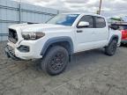 TOYOTA TACOMA 2019