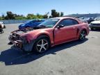 FORD MUSTANG 2001