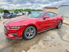 FORD MUSTANG 2024