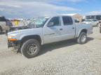 DODGE DAKOTA 2001