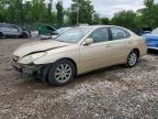 LEXUS ES 2003