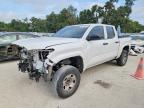 TOYOTA TACOMA 2024
