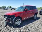 LAND ROVER RANGE ROVER 2014