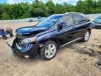 LEXUS RX 2010