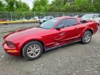 FORD MUSTANG 2005
