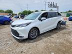 TOYOTA SIENNA 2023