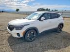 KIA SELTOS 2024