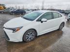 TOYOTA COROLLA HYBRID 2024