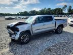 TOYOTA TACOMA 2023