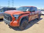 TOYOTA TUNDRA 2024