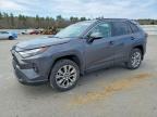 TOYOTA RAV4 2024