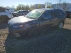 TOYOTA RAV4 2025