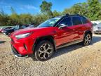 TOYOTA RAV4 PRIME 2023