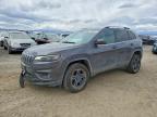 JEEP CHEROKEE 2019