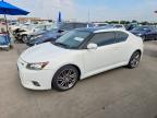 SCION TC 2013