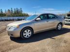 TOYOTA CAMRY 2007