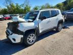 JEEP RENEGADE 2023